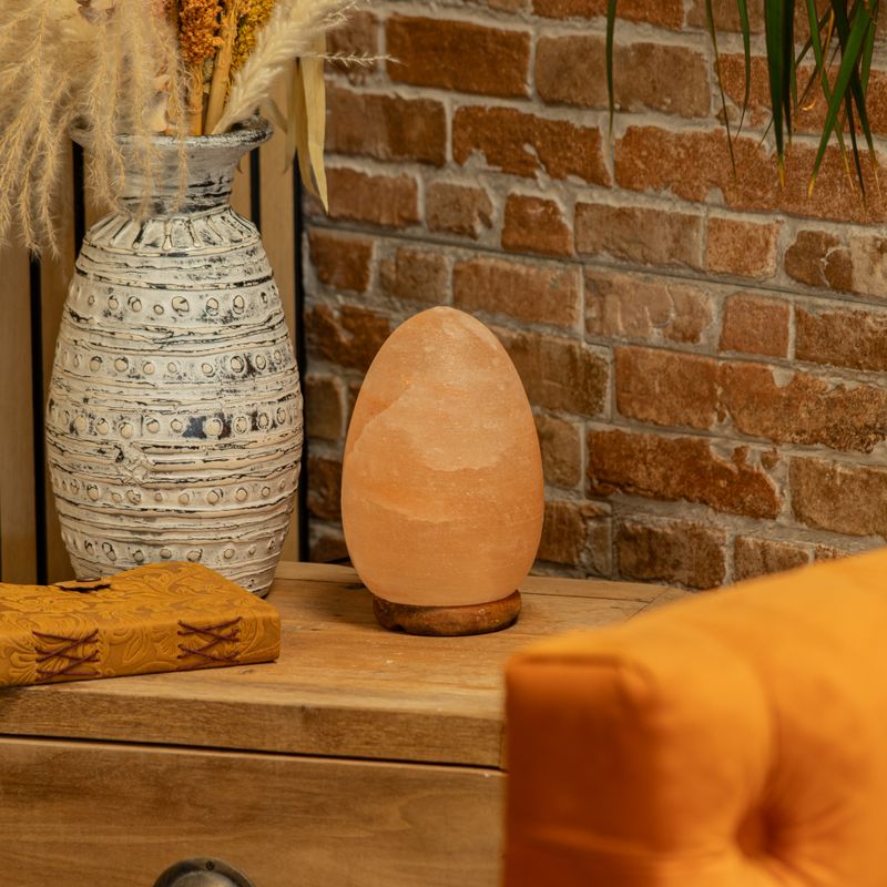Zoutlamp Ei - Houten Basis