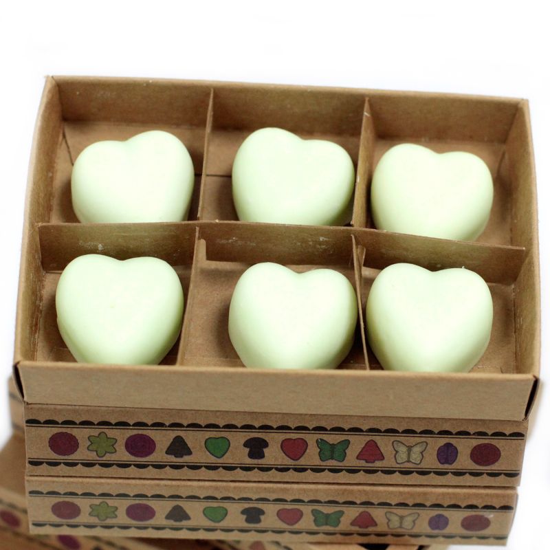 Natuurlijke Sojawas Melts Starterspakket met 4-Laags Displaystandaard