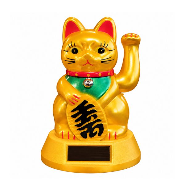 Geld op zonne-energie Kat