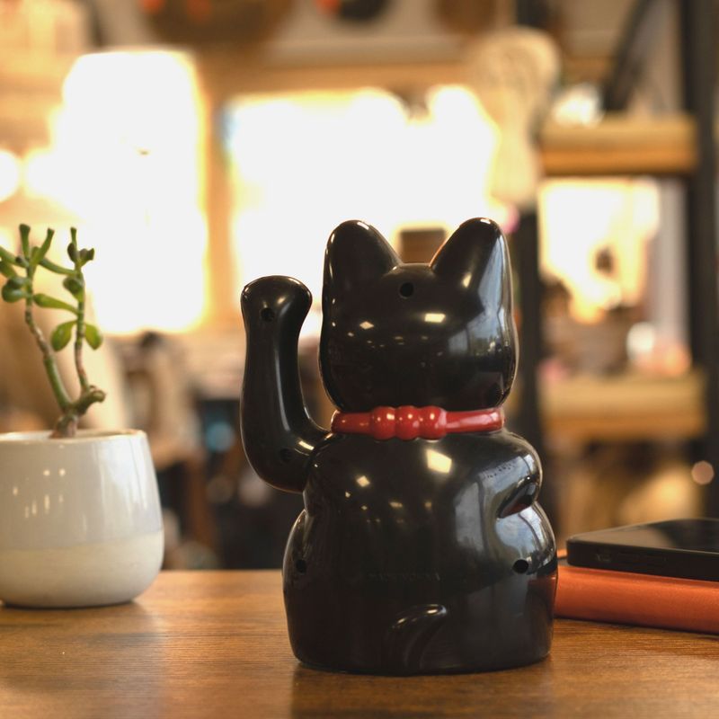 Zwarte Geldkat - 15 cm