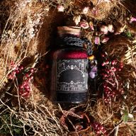 Ancient Witch Starterspakket – 69 Stuks | Bespaar 10%