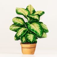 Houten Huisplanten – Middelgrote Jungleplant