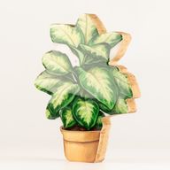Houten Huisplanten – Middelgrote Jungleplant