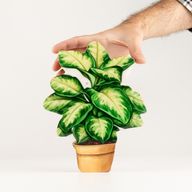 Houten Huisplanten – Middelgrote Jungleplant
