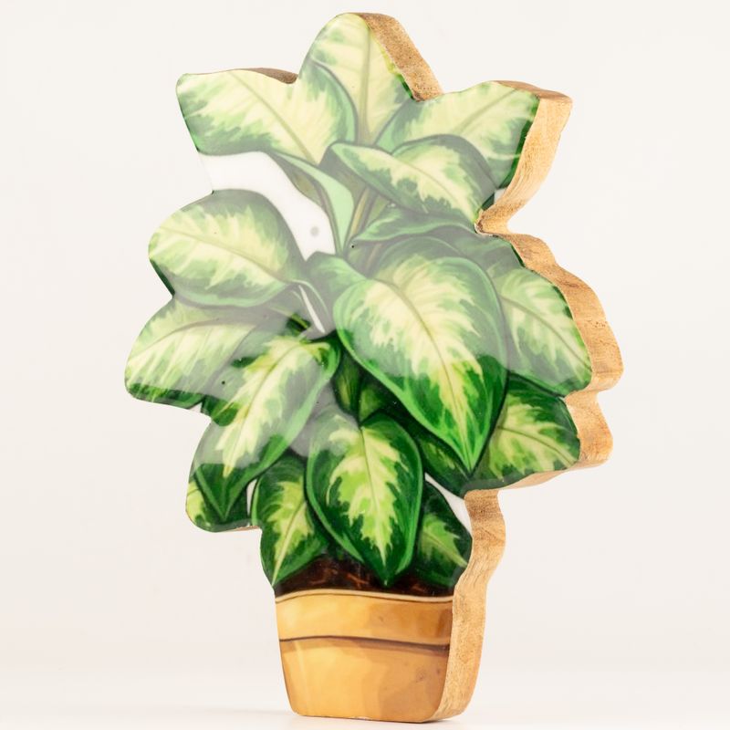 Houten Kamerplanten – Grote Viooltje