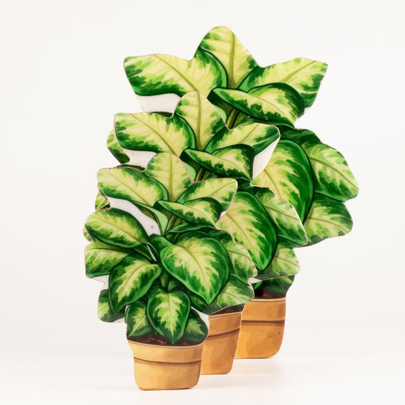 Houten Kamerplanten – Grote Viooltje
