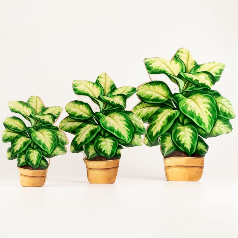 Houten Kamerplanten – Grote Viooltje