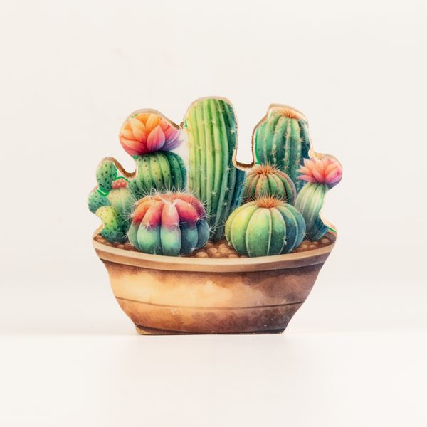 Houten Huisplanten – Mini Cactus Tuin