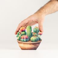 Houten Kamerplanten – Mini Cactus Tuin