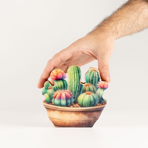 Houten Huisplanten – Mini Cactus Tuin
