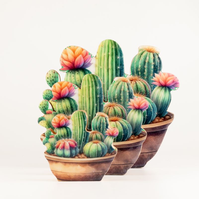 Houten Kamerplanten – Middelgrote Cactus Tuin