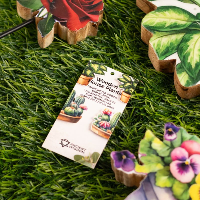 Houten Kamerplanten – Middelgrote Cactus Tuin