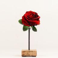 Houten Huisplanten – Mini Enkele Roos