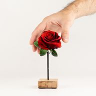Houten Huisplanten – Mini Enkele Roos