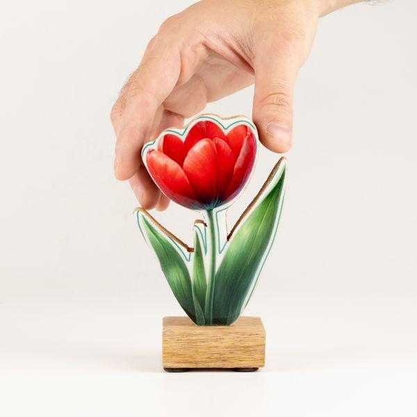 Houten Huisplanten – Mini Tulp
