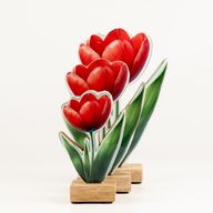 Houten Kamerplanten – Middelgrote Tulp