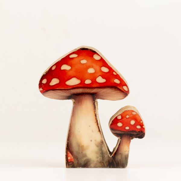 Houten Huisplanten – Mini Roodkapje Paddenstoel
