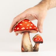 Houten Huisplanten – Mini Roodkapje Paddenstoel