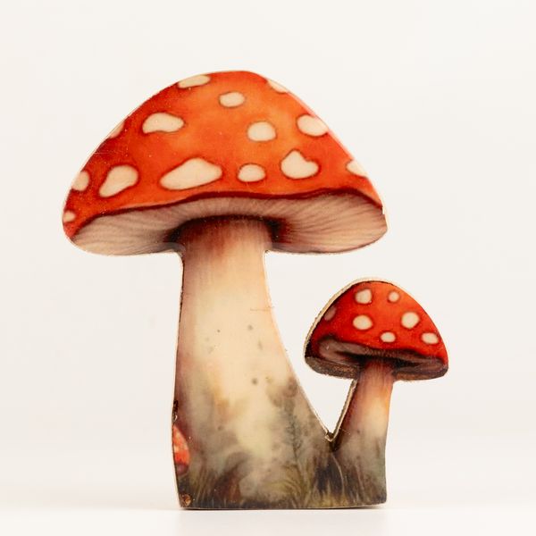 Houten Huisplanten – Middelgrote Roodkapje Paddenstoel