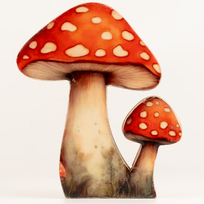 Houten Huisplant – Grote Roodkop Paddenstoel