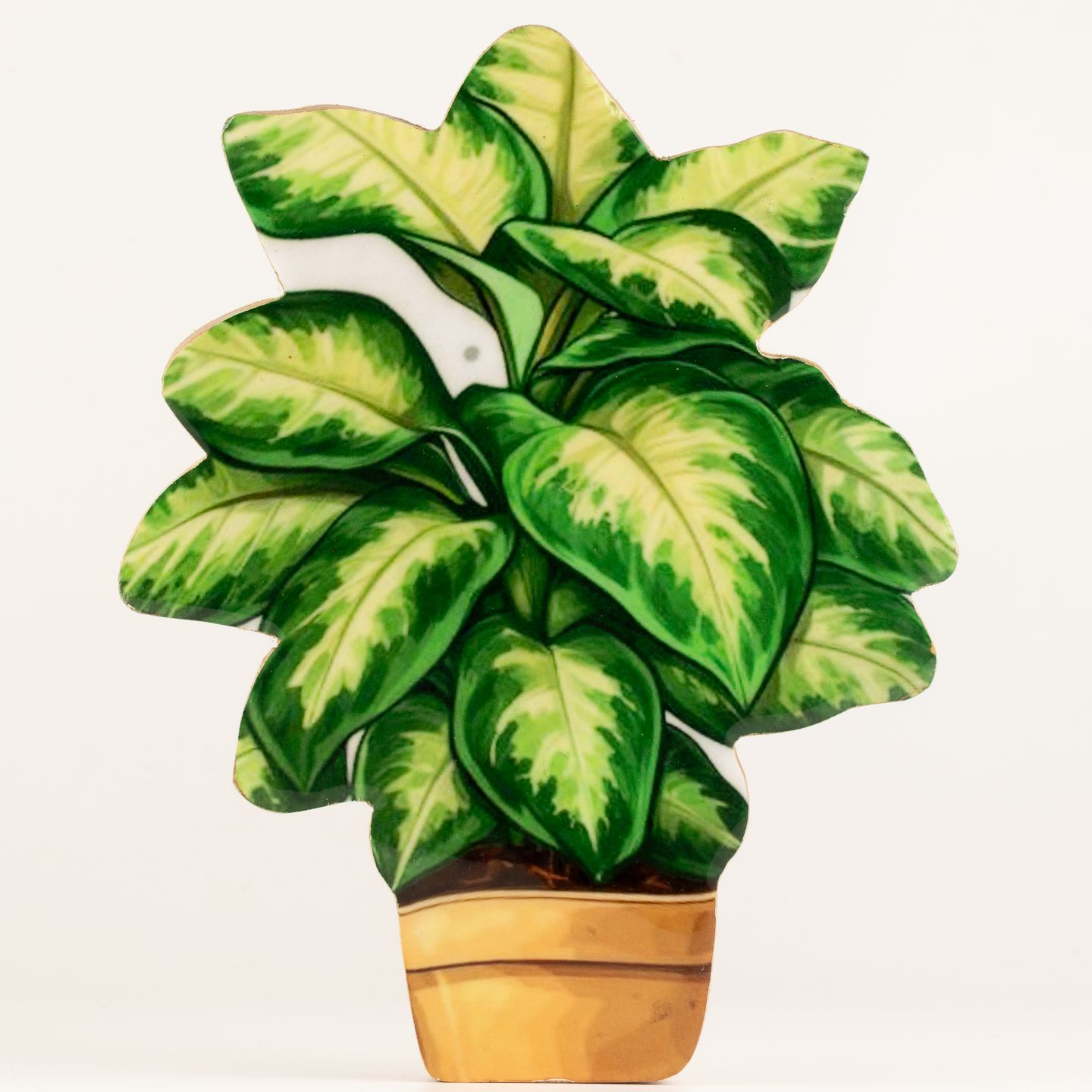Houten Kamerplanten