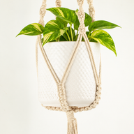 Eenvoudige Macramé Plantenhanger - Naturel