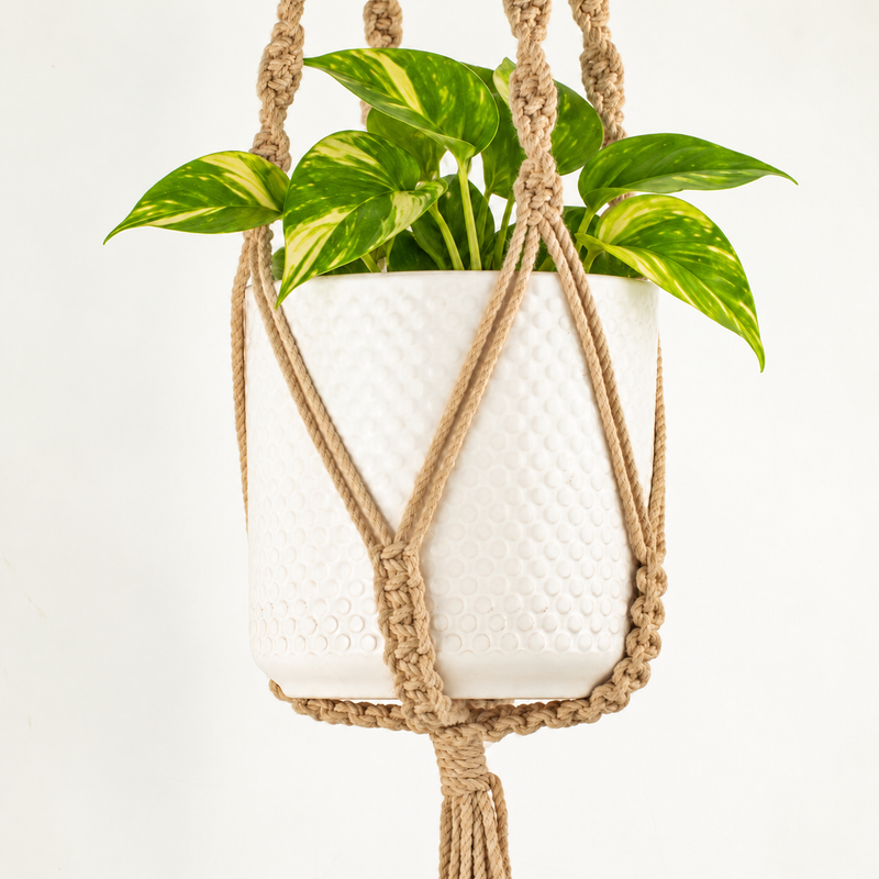 Eenvoudige Macramé Plantenhanger - Camel