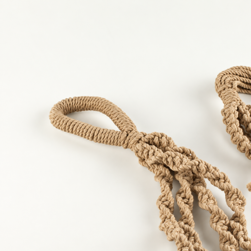 Eenvoudige Macramé Plantenhanger - Camel