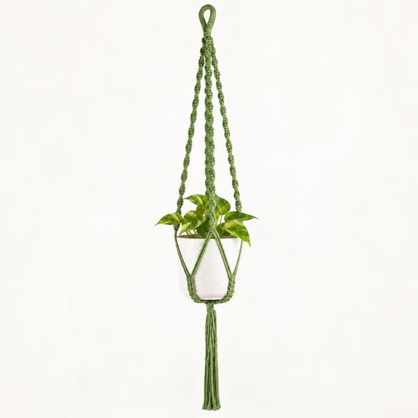 Eenvoudige Macramé Plantenhanger - Groen
