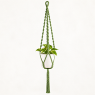 Eenvoudige Macramé Plantenhanger - Groen