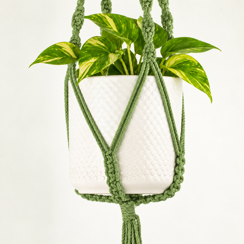 Eenvoudige Macramé Plantenhanger - Groen
