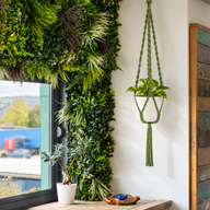 Eenvoudige Macramé Plantenhanger - Groen
