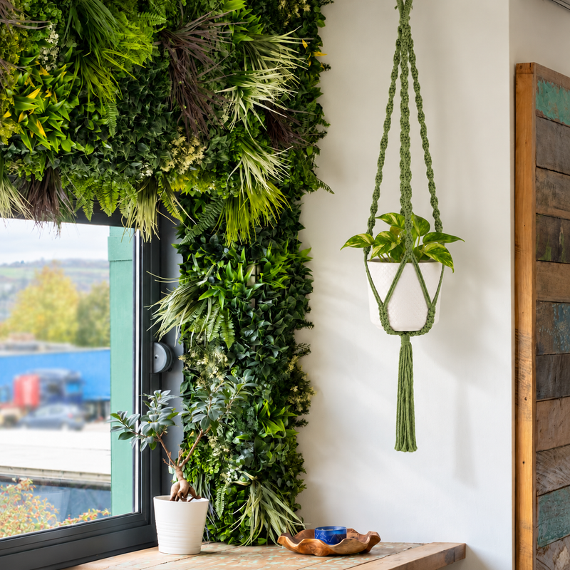 Eenvoudige Macramé Plantenhanger - Groen