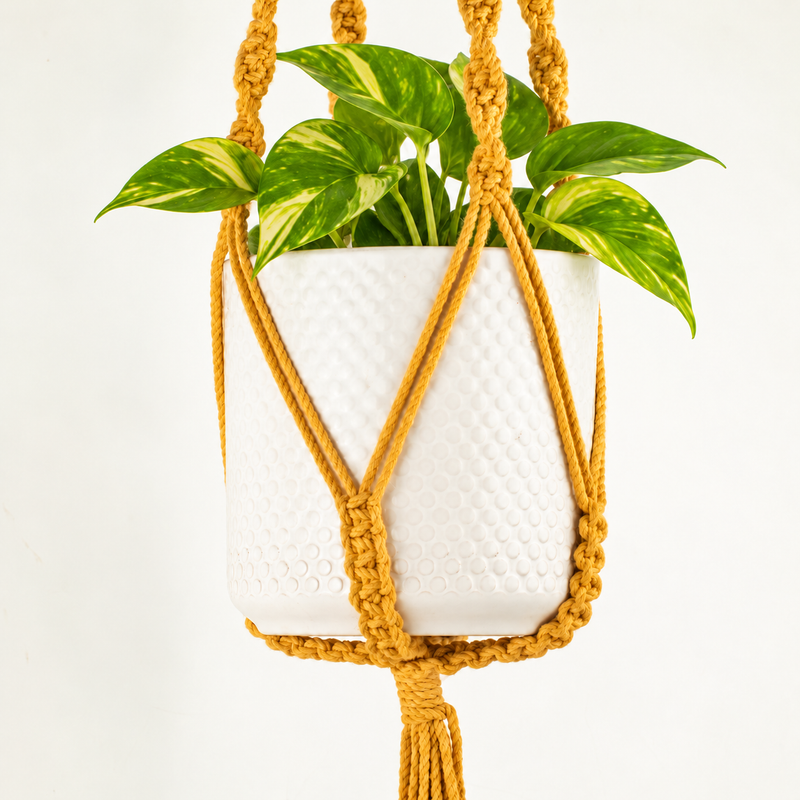 Eenvoudige Macramé Plantenhanger - Mosterdgeel