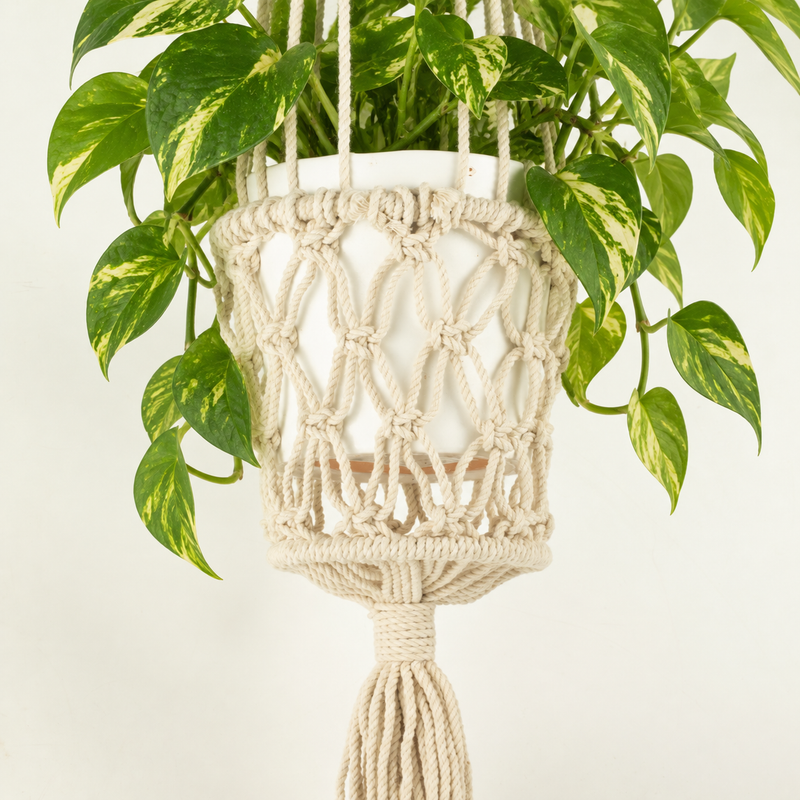 Macramé Plantenhanger - Naturel