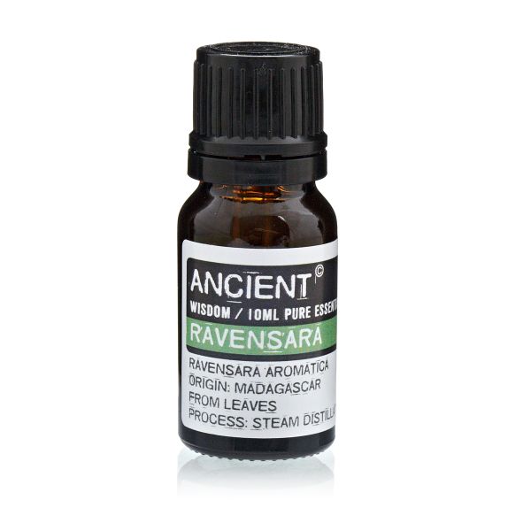 Ravensara Etherische Olie - 10ml