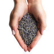 Lavendel bloemen - (1KG)
