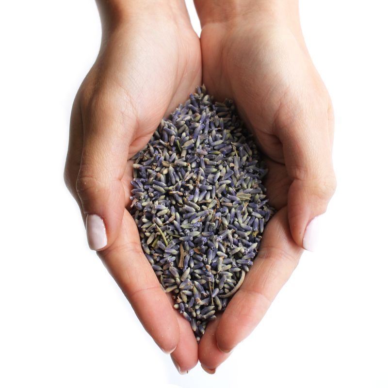 Lavendel bloemen - (1KG)