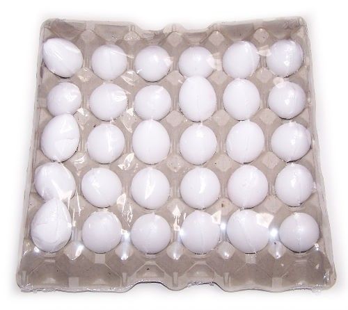 Tray met Bad Eieren - Kokosnoten