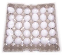 Tray met Bad Eieren - Kokosnoten