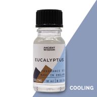 Huis Parfum/Geur Olie - 10ml - Eucalyptus