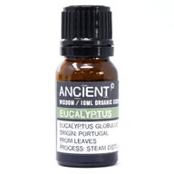 BIOLOGISCHE Etherische Olie - 10ml - Eucalyptus