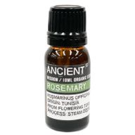 BIOLOGISCHE Etherische Olie - 10ml - Rozemarijn