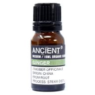 BIOLOGISCHE Etherische Olie - 10ml - Gember