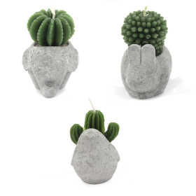 Set van 12 Cactus Kaarsen - Dieren Pot - in Display Doos (Gemengd)