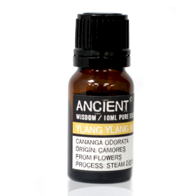 Ylang Ylang III  Etherische Olie - 10ml