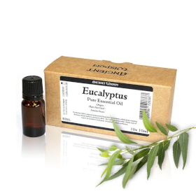 10x Etherische Olie merkloos zonder etiket - Eucalyptus- 10ml