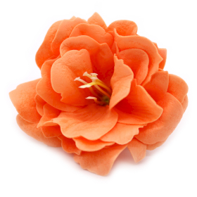 50x Ambachtelijke Zeepbloem- Kleine Pioen - Oranje