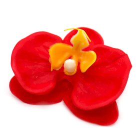 25x Ambachtelijke Zeepbloem- Orchidee - Rood