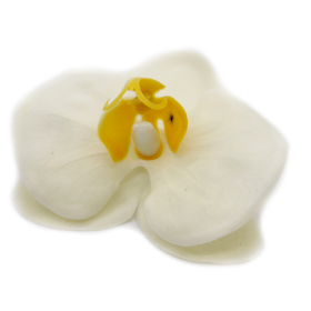 25x Ambachtelijke Zeepbloem- Orchidee - Crème